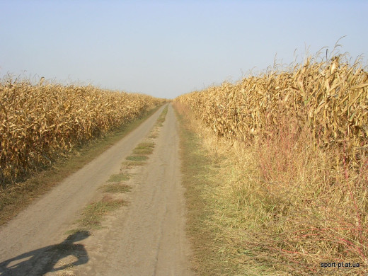 649583 (a): :1600x1200